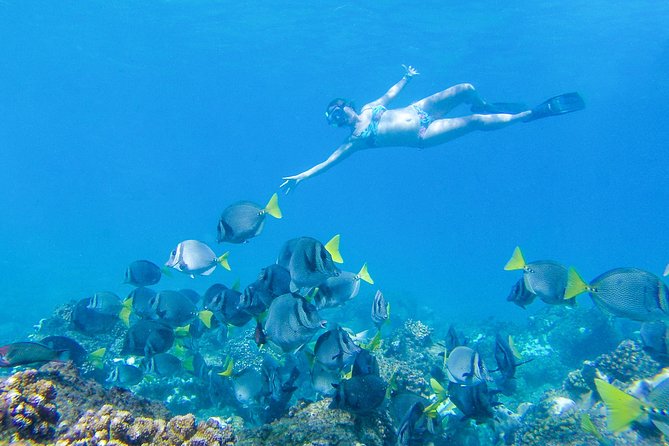 Los Cabos Sea Adventure, Snorkeling, Kayaking and Stand-Up Paddle - Tour Overview