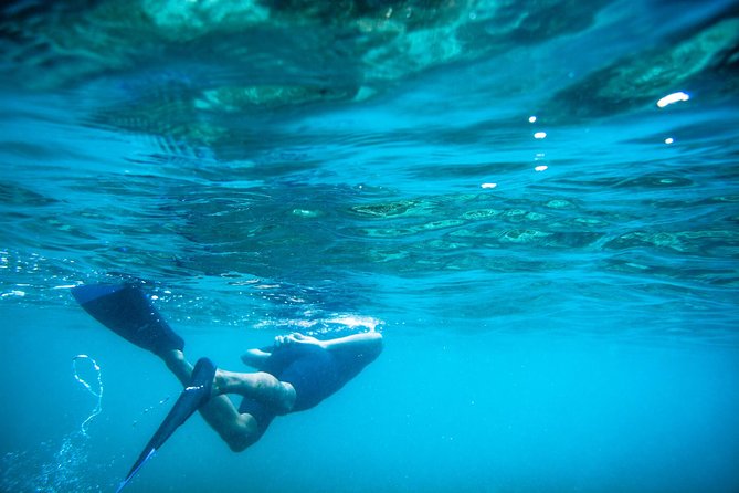 Los Cabos Snorkeling Tour to Chileno Bay and Santa Maria Cove - Snorkeling Destinations
