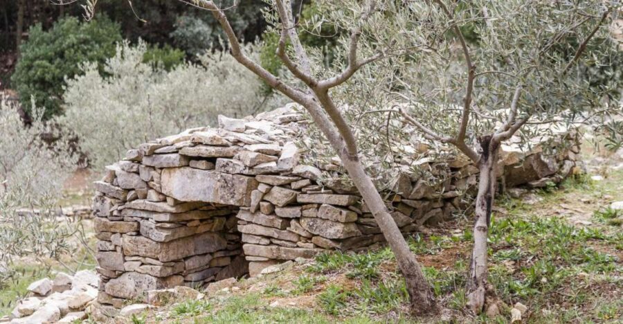 luberon-lagnes-bike-adventure-guided-bike-tour-overview
