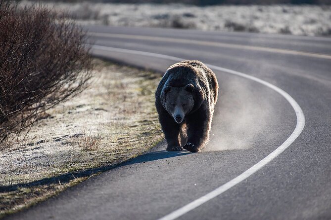 Luxury Private Grand Teton National Park Full-Day Tour - Explore at Your Own Pace