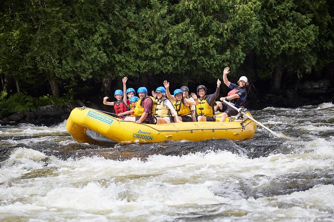 Madawaska River Family Rafting - Overview of the Experience