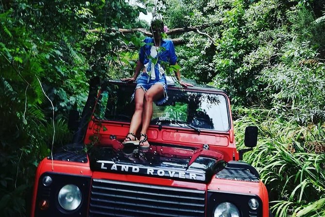 madeira-jeep-4x4-old-forest-full-day-tour-including-pico-arieiro-tour-overview