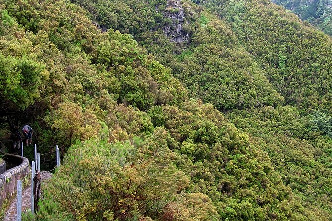 Madeira Levada Walk - Rabacal Lakes and Fountains - Itinerary Highlights