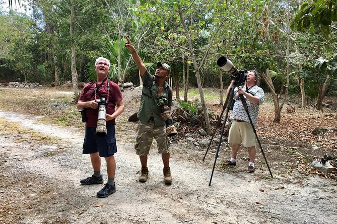 Vrindavan Forest 2024 Backpack