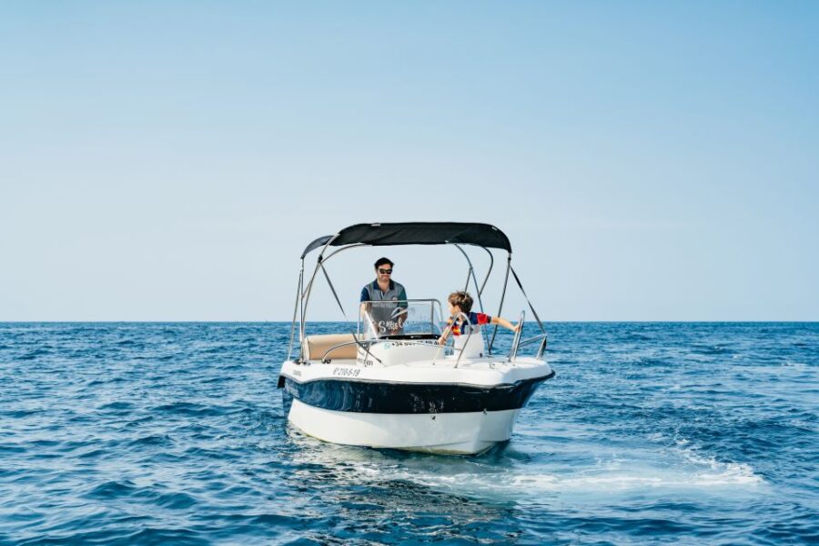 Malaga: Boat Rental Without a License for Dolphin Watching - Activity Details and Rental Options