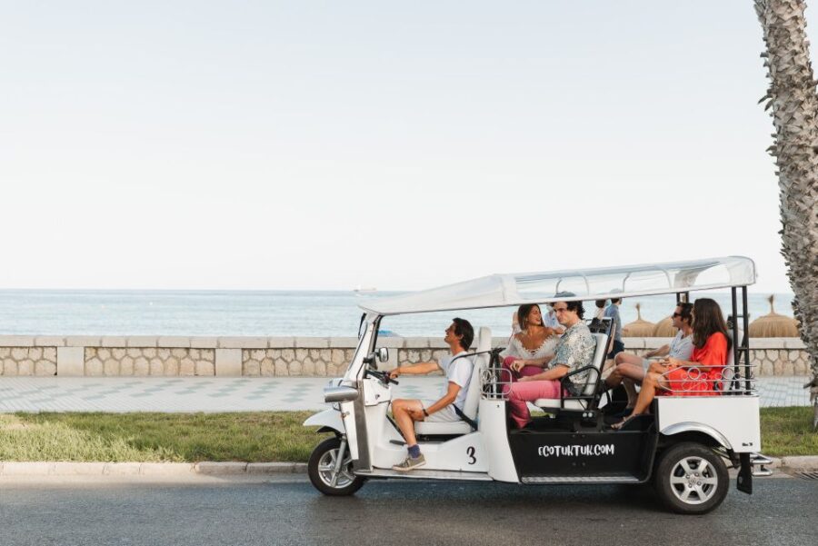 Malaga: Private City Tour by Eco Tuk Tuk - Tour Overview