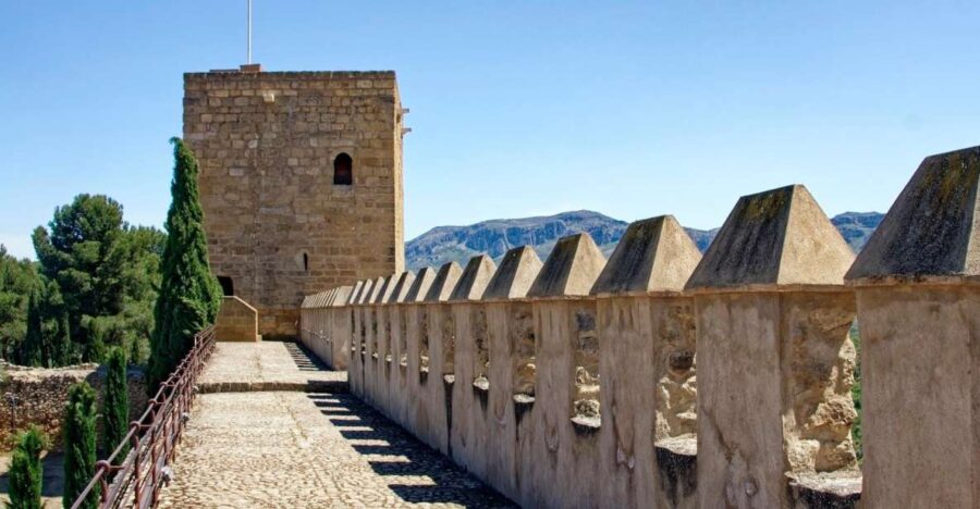Malaga - Private Historic Walking Tour - Tour Overview