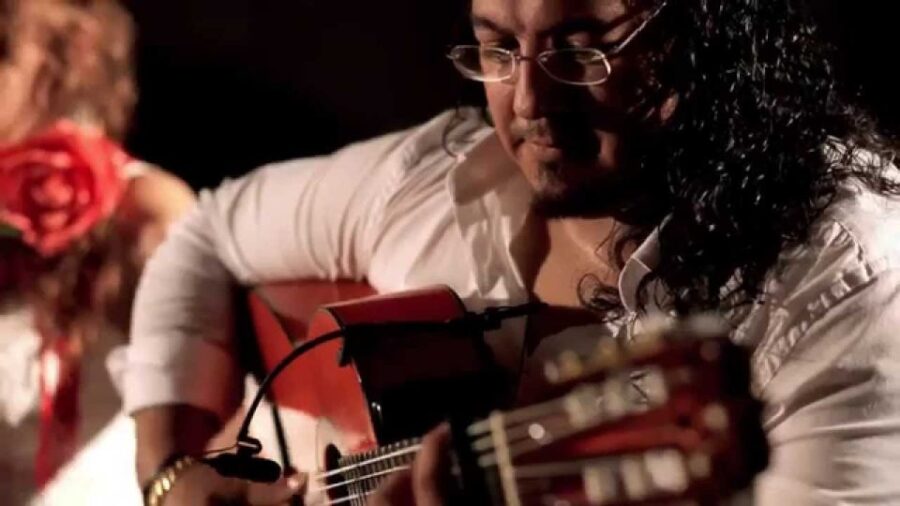 Malaga: Tapas and Wine Tasting Tour With Flamenco Show - Overview of the Tour