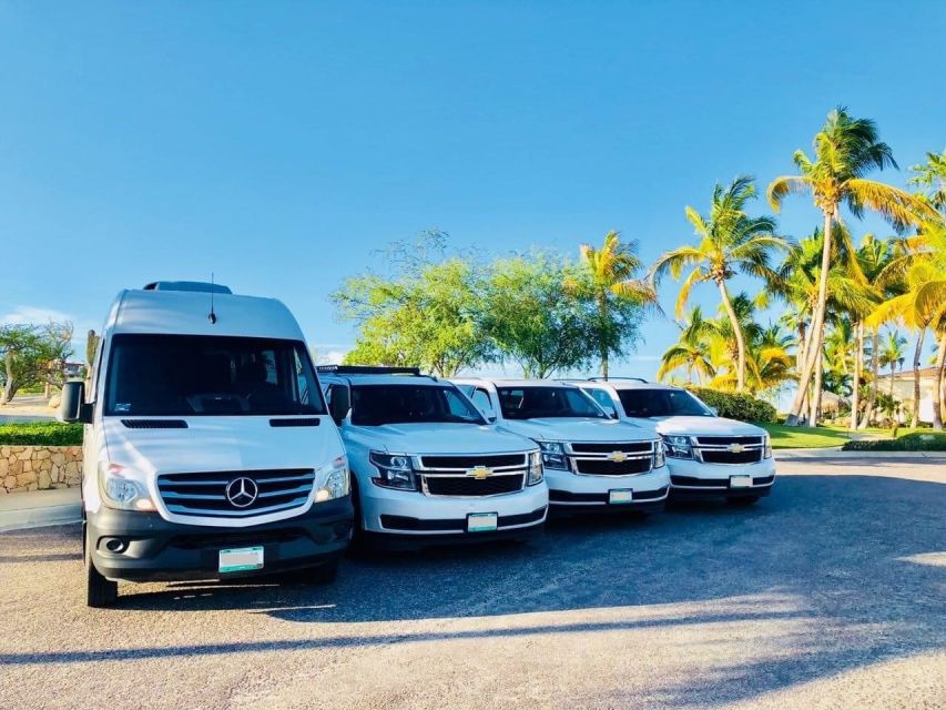 mallorca-airport-pmi-private-transfer-to-palma-nova-transfer-details