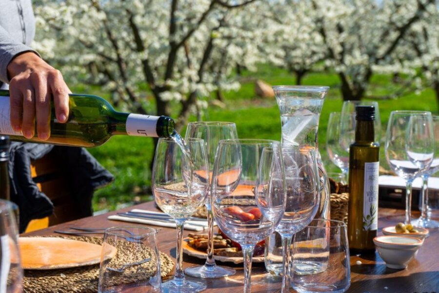 Mallorca: Full-Day Winery Small Group Tour - Tour Overview