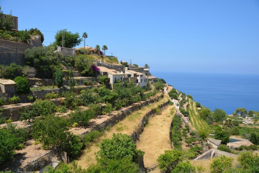 Mallorca: Tramuntana Luxury Tour - Luxury Tour Details
