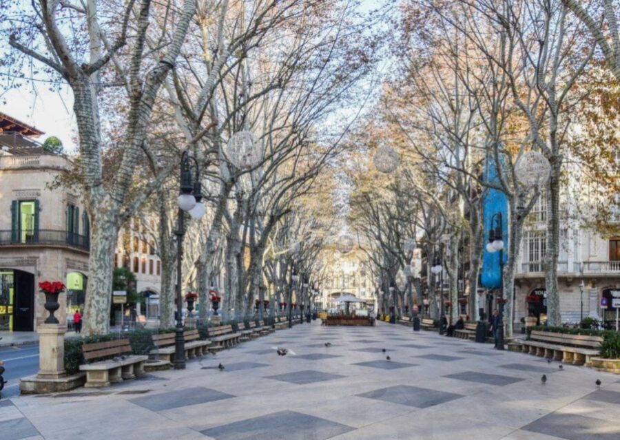 Mallorca: Transfer to Palma Self-Guided Tour - Tour Overview and Pricing