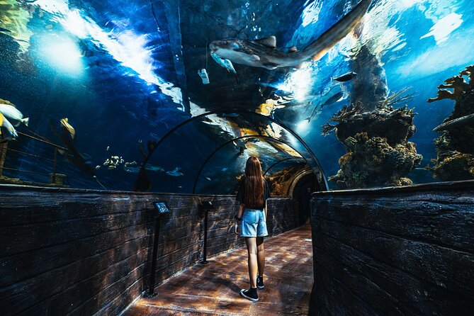 malta-national-aquarium-entrance-ticket-admission-and-facilities