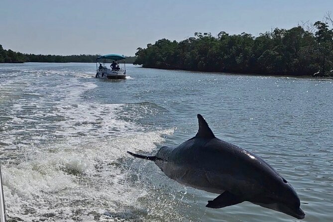 Manatee, Dolphin and 10,000 Islands Sunset Cruise!