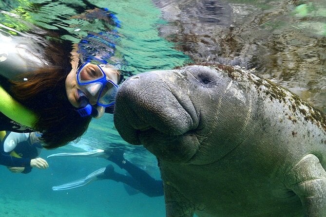 Manatee Swim And Wildlife Park With Upgrade Options From Orlando