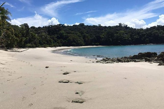 Manuel Antonio National Park Guided Tour