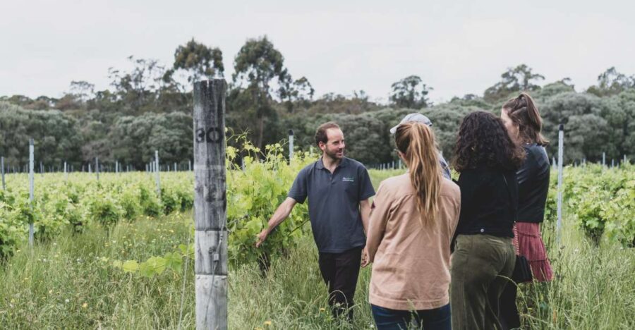 Margaret River: Food and Wine Tour With Tastings and Lunch