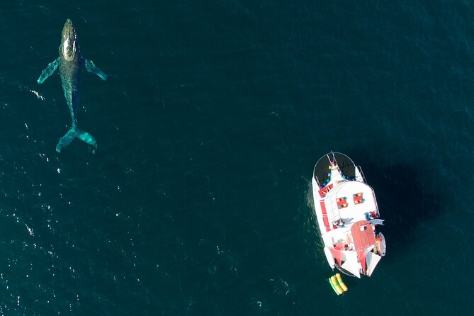 Marietas Islands All-Inclusive Boat Tour