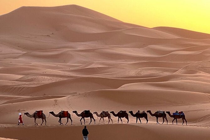 Marrakech to Fez 3-Day Tour Through the Merzouga Desert - Tour Overview