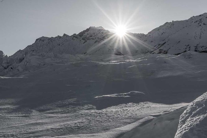 Matanuska Glacier Wildlife & Wilderness Photo Tour From Anchorage