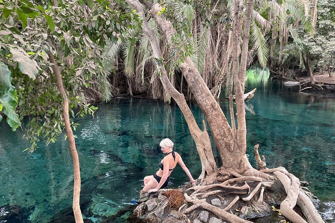 Materuni Waterfalls, Coffee Tour, and Kikuletwa (Chemka) Hot Springs