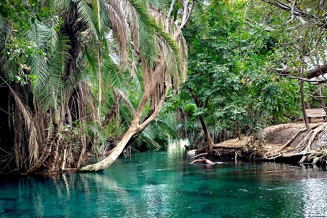 MATERUNI Waterfalls, Coffee Tour & Kikuletwa Hot Springs