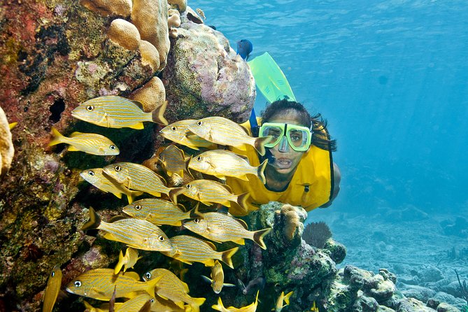 Mayan Adventure Snorkeling Tour From Playa Del Carmen or Riviera Maya - Included in the Tour
