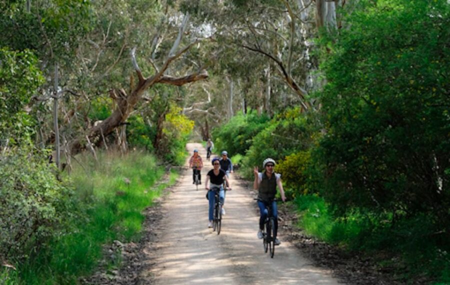 mclaren-vale-e-bike-rental-to-explore-the-vineyards-discover-the-vineyards