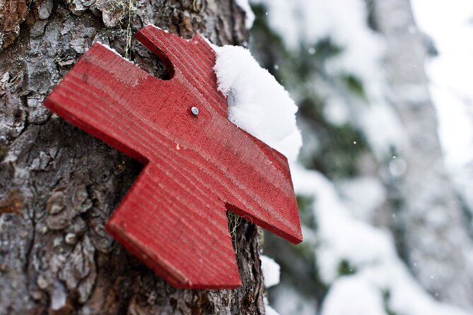 Medicine Trail Snowshoe Tour - Tour Overview
