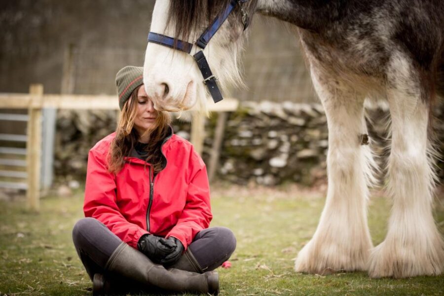 meditate-with-horses-full-circle-experiences-delightful-and-enchanting-experience