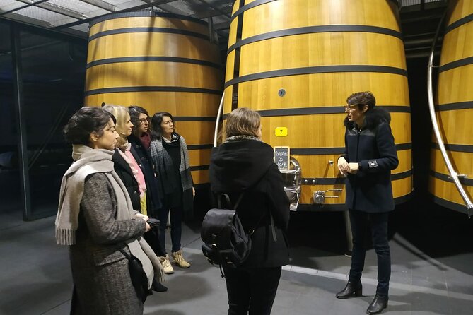 medoc-region-wine-day-trip-with-vineyard-visits-tastings-from-bordeaux-whats-included
