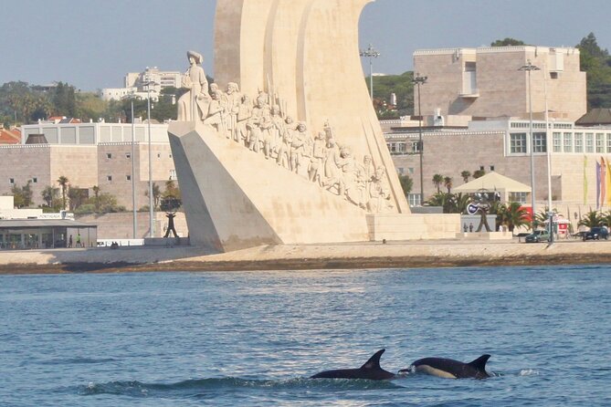 Meet the Lisbon Dolphins - Dolphin Watching in Lisbon