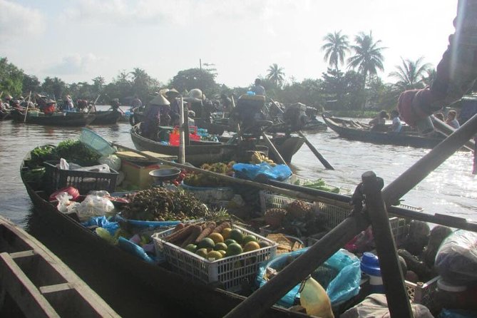 Mekong Delta Explore Cai Rang and Phong Dien Floating Market - Overview of the Mekong Delta Tour