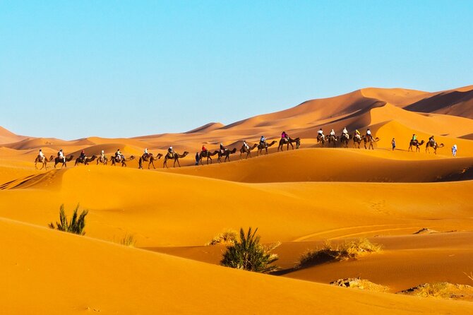 merzouga-orange-dunes-atv-sandsurf-camels-with-5-stars-dinner-tour-overview