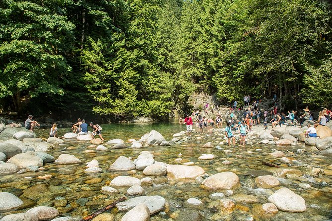 Mesmerizing Nature Walk in Lynn Canyon Park - Exploring the Temperate Rainforest