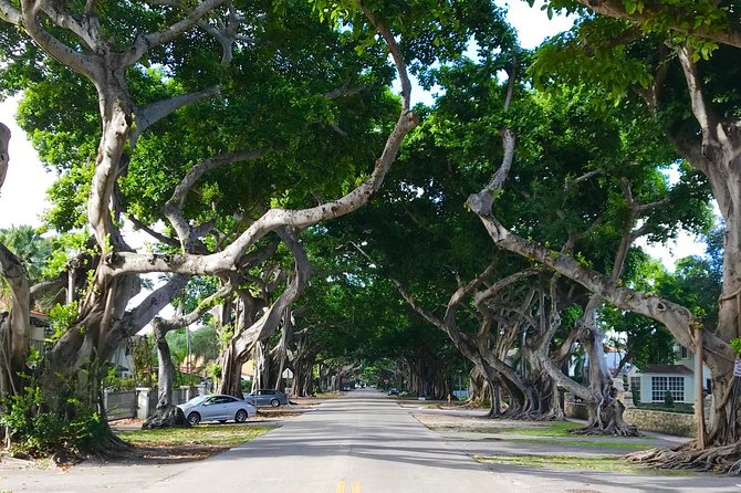 Miami Private City Tour off the Beaten Path