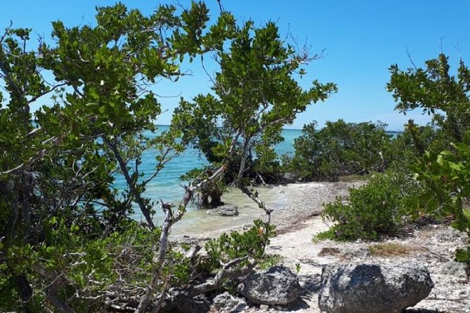 miami-to-key-west-day-trip-transportation-trip-overview