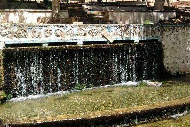 middle-atlas-mountain-day-trip-from-fez-highlights-of-the-middle-atlas-mountains