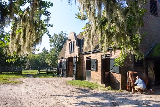 middleton-place-plantation-3-hour-guided-tour-hotel-pickup-tour-overview