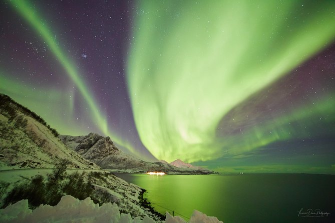 Minivan Northern Lights Excursion (8 Guests per Minivan)