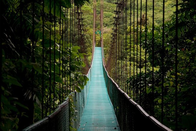 Mistico Park Hanging Bridges Guided Tour