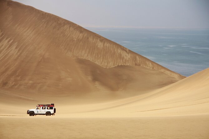 mola-mola-marine-dune-experience-walvis-bay-cruise-highlights
