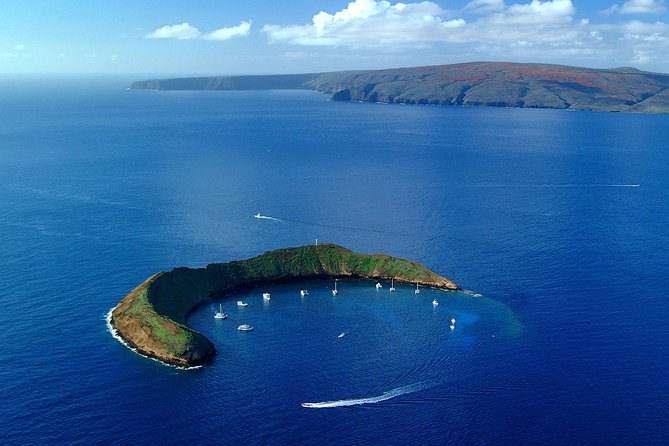 Molokini and Turtle Town Snorkeling Adventure Aboard the Malolo - Overview of the Snorkeling Adventure