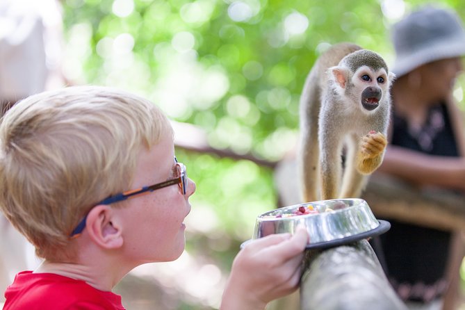 monkeyland-and-zipline-adventure-from-puerto-plata-health-and-safety-guidelines