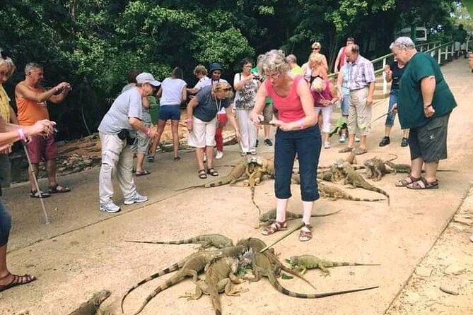 Monkeys and Sloth Hang Out With Island Tour in Roatan