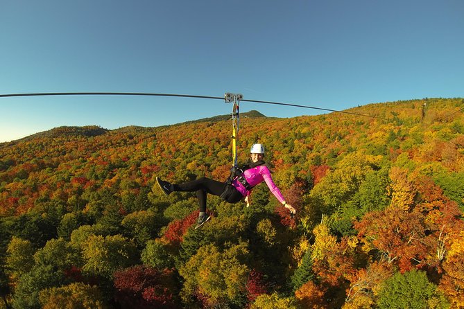 mont-tremblant-guided-zipline-tour-experience-overview