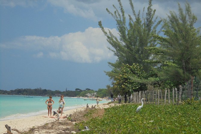 Montego Bay Airport Transfer to Negril - Overview of Transfer Options