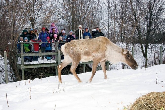 montreal-zoo-private-half-day-tour-overview-of-ecomuseum-zoo