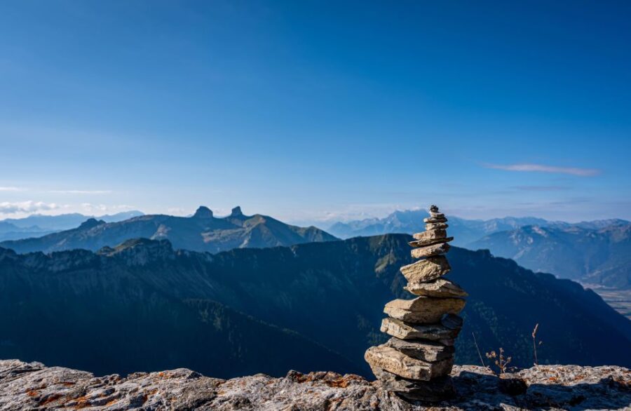 Montreux to Rochers-de-Naye: Alpine Adventure Ticket - Ticket Overview
