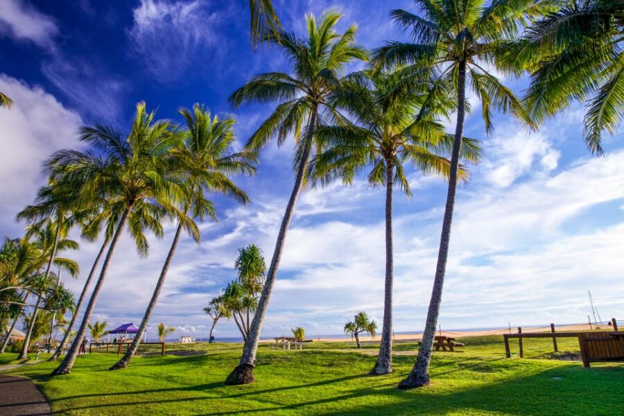 Moreton Island: Tangalooma Day Trip With ATV Quad Bike Tour